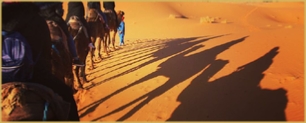 Marrakech Excursions