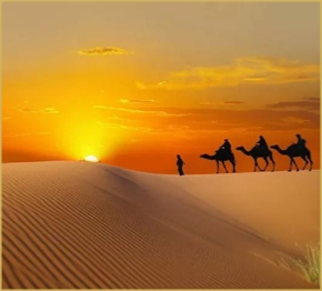 1 Night camel trek Merzouga