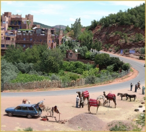 Marrakech Excursions