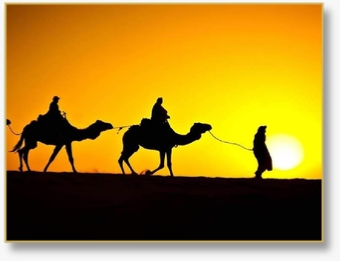 Tours from Casablanca