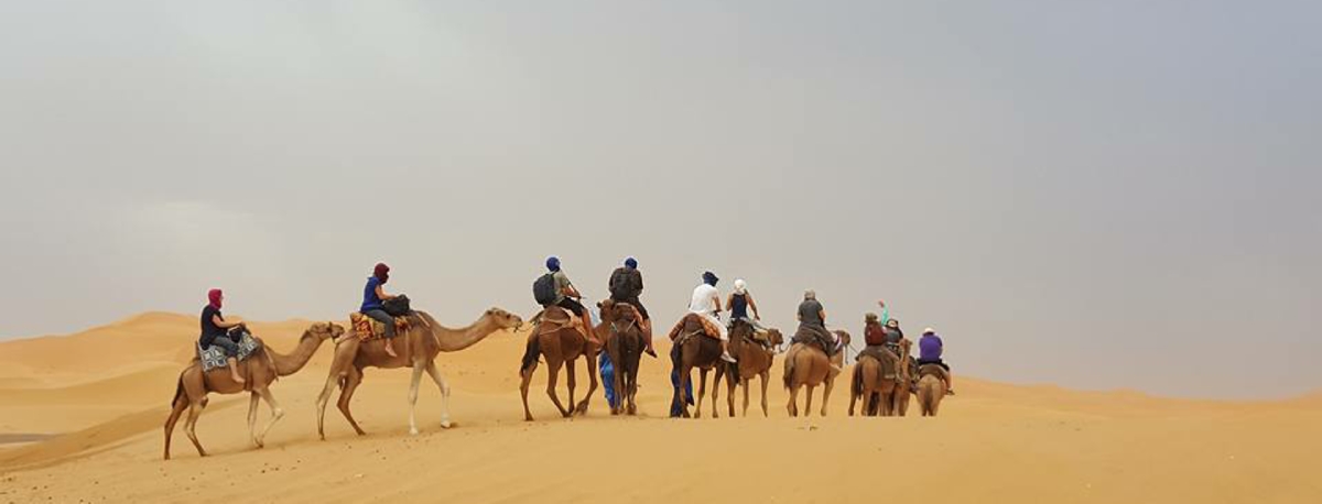 Tour from Marrakech