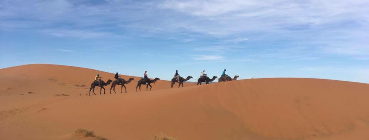 Tour from Ouarzazate