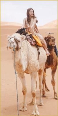 Marrakech Excursions