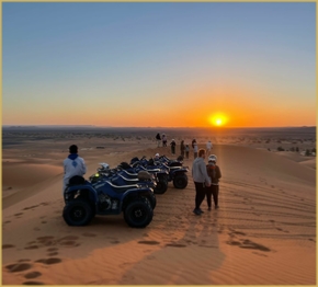 Desert Activities