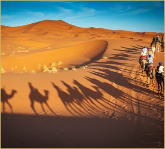 Family Tour in Morocco