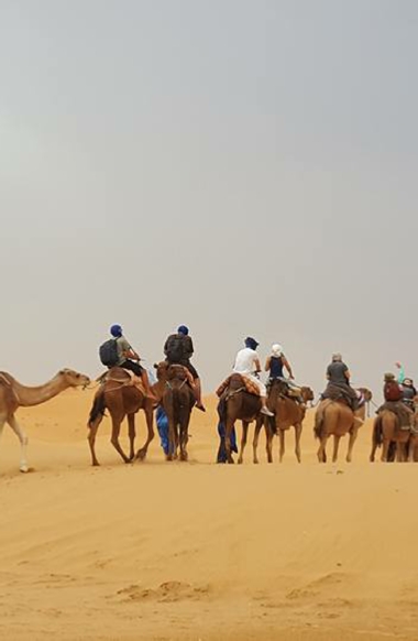 Tour from Marrakech